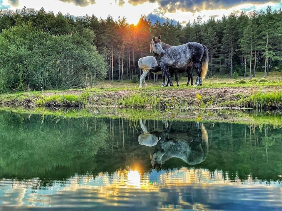 Apartman "Park" Лівно Екстер'єр фото